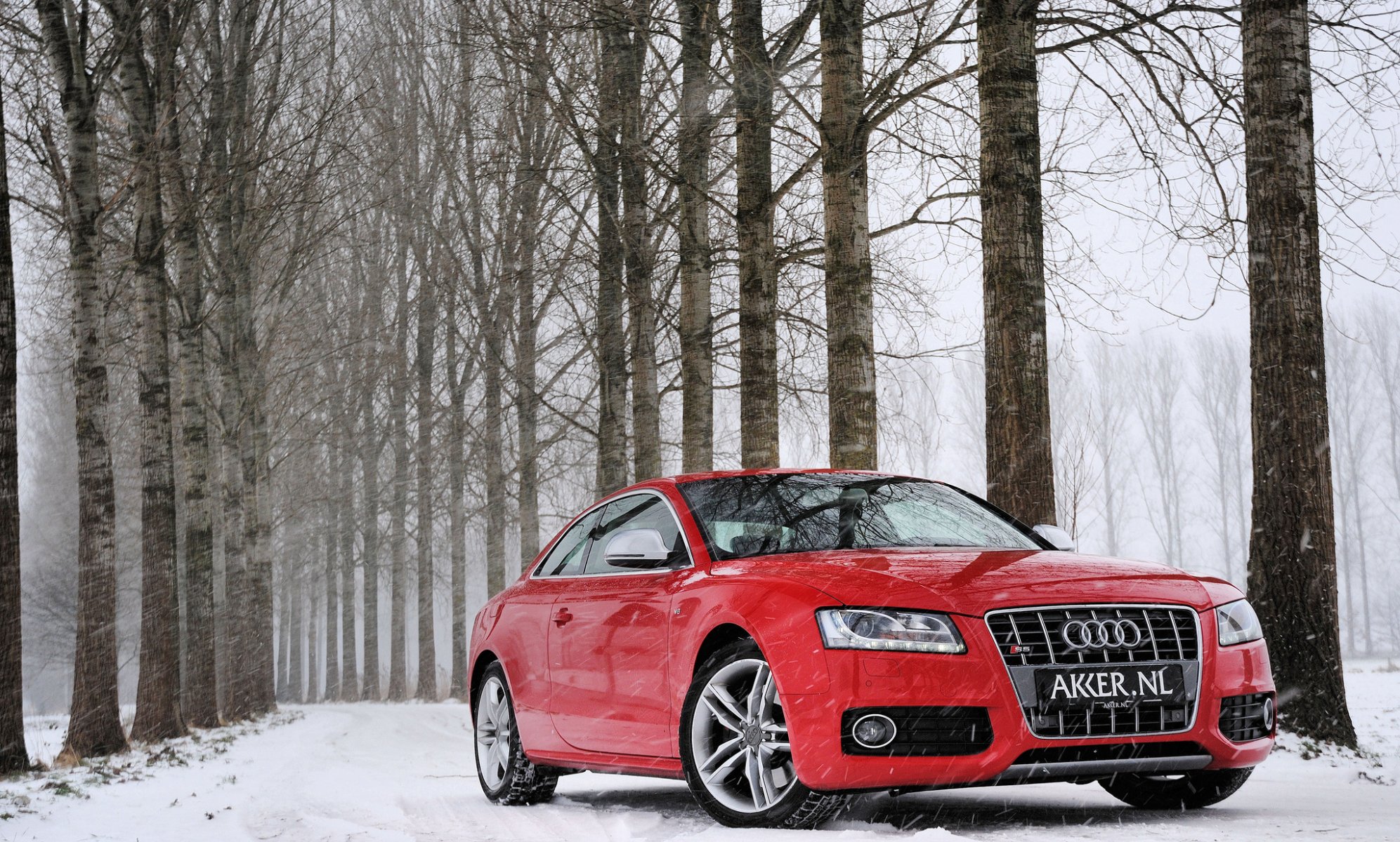 audi s5 rosso audi rosso inverno neve foresta alberi