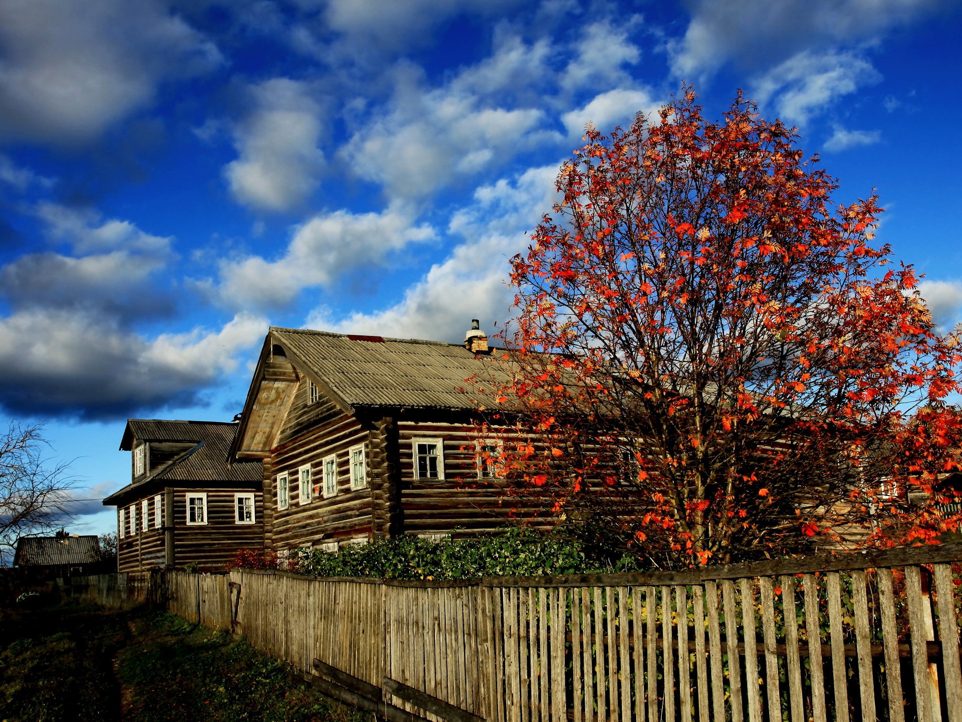 russian north hut arkhangelsk village autumn