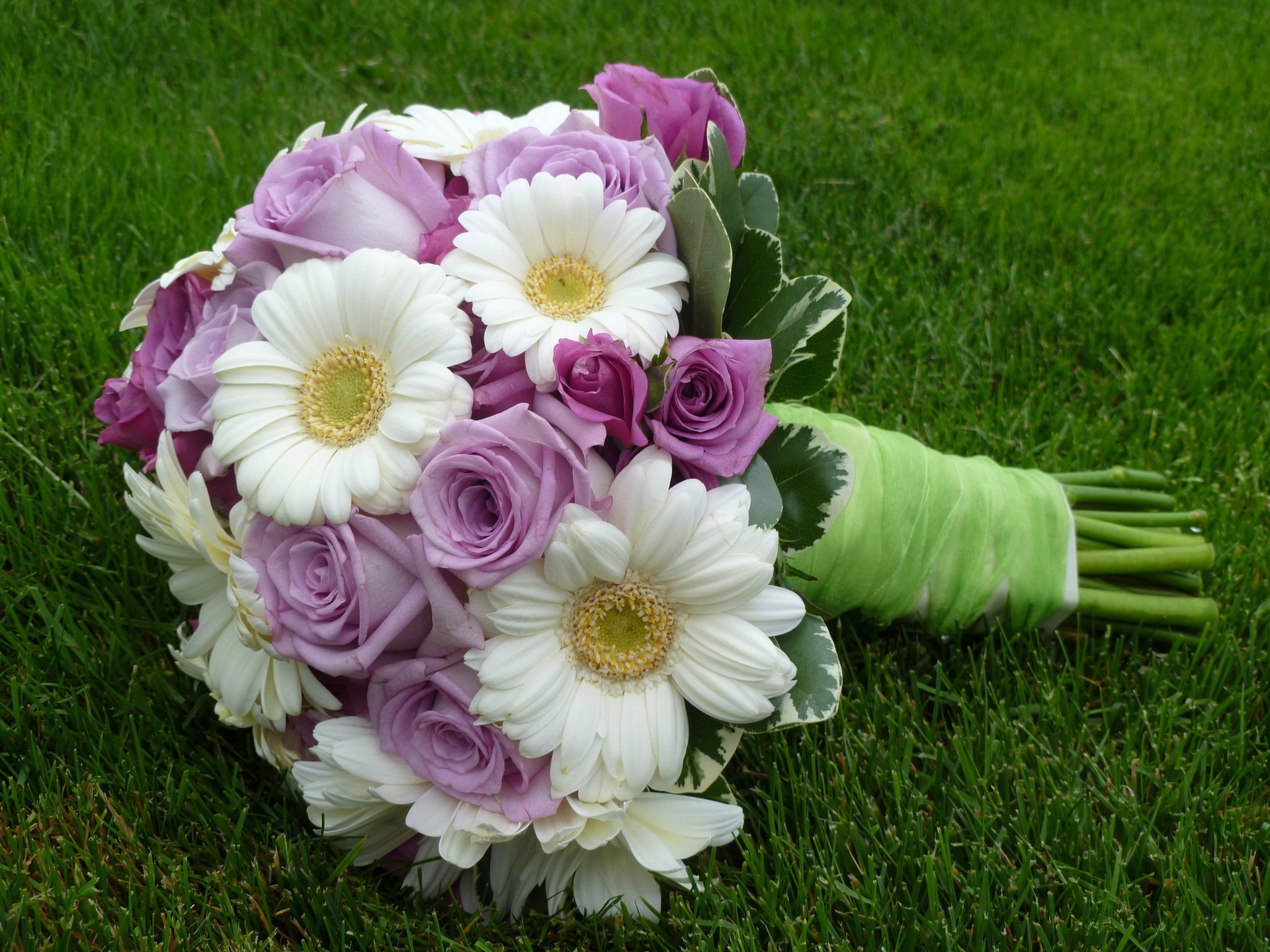 gerberas wedding flower lovely beautiful cool elegantly roses nice bouquet rose flower