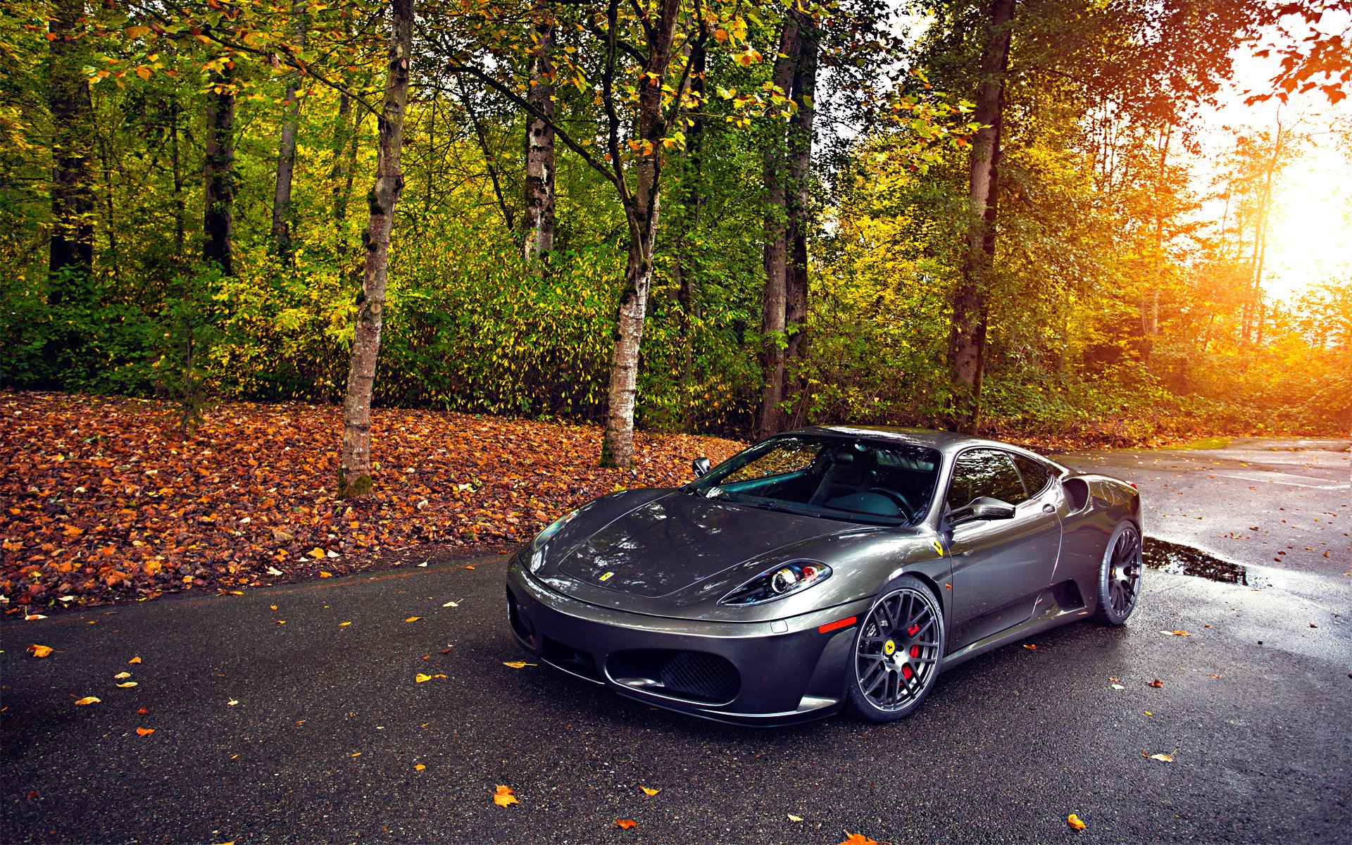 ferrari tuning argent roues automne arbres feuille soleil vert asphalte