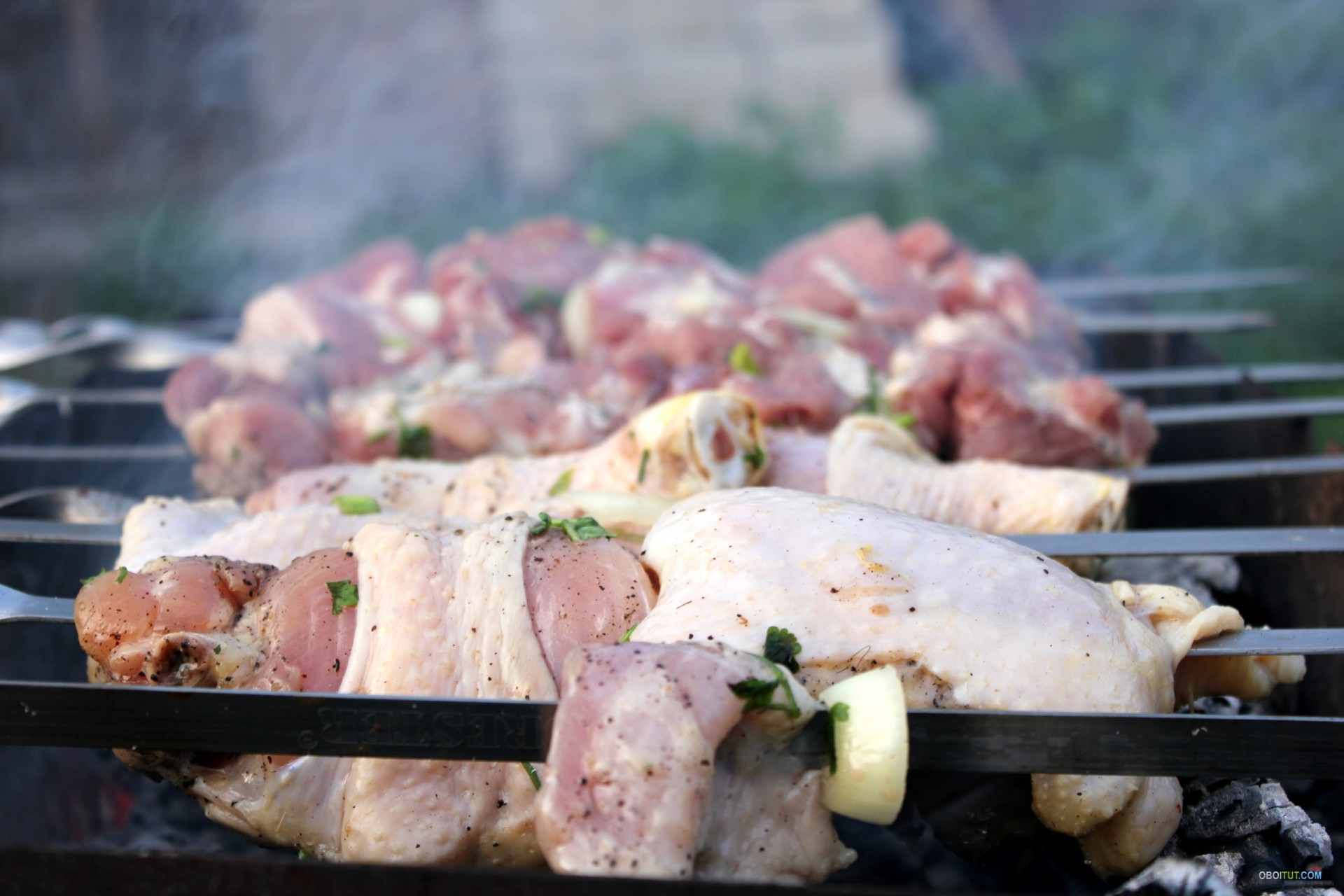 fumée savoureux viande brochettes