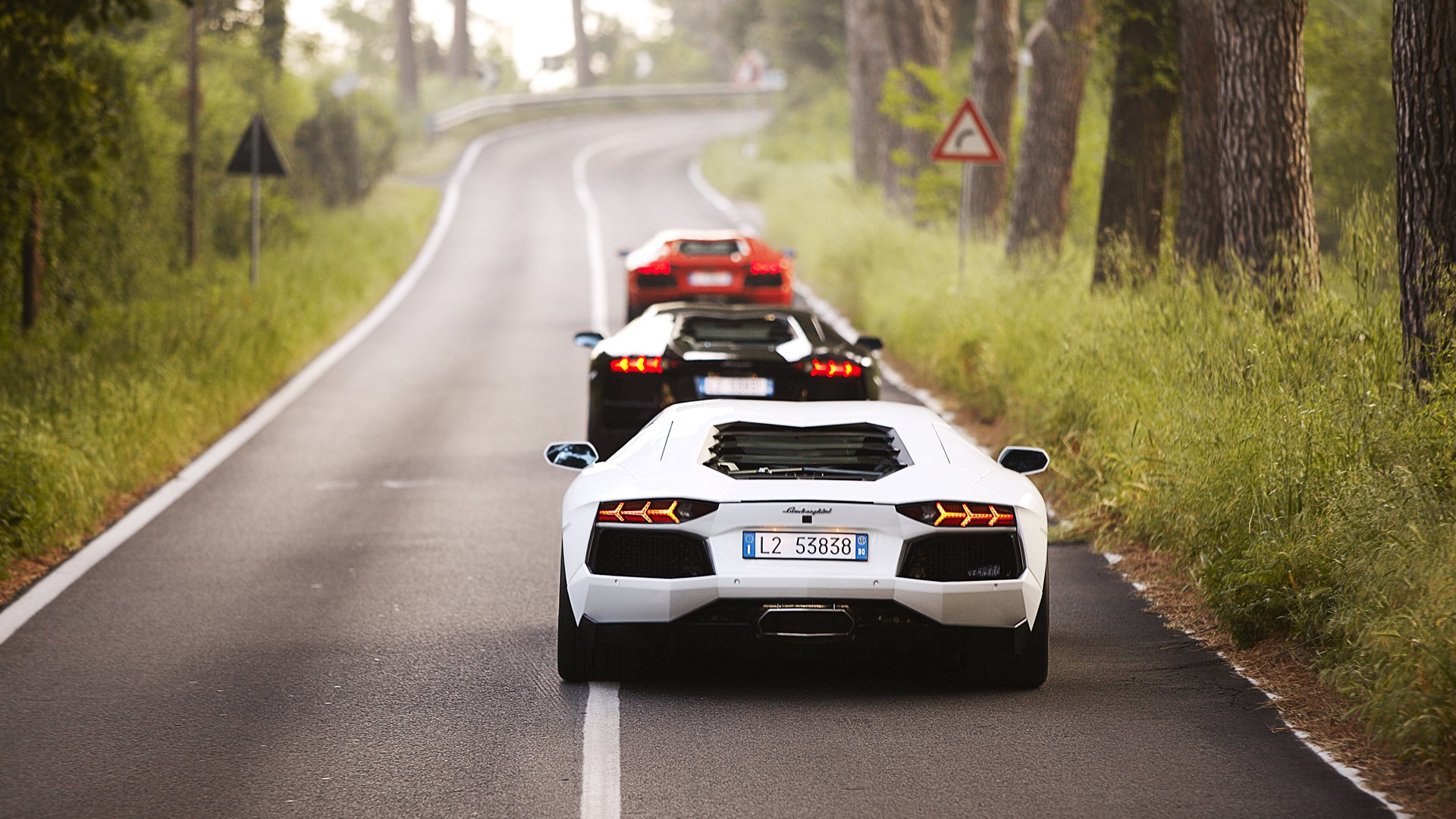 lamborghini aventador lp700-4 mezcla tres blanco negro rojos carretera árboles