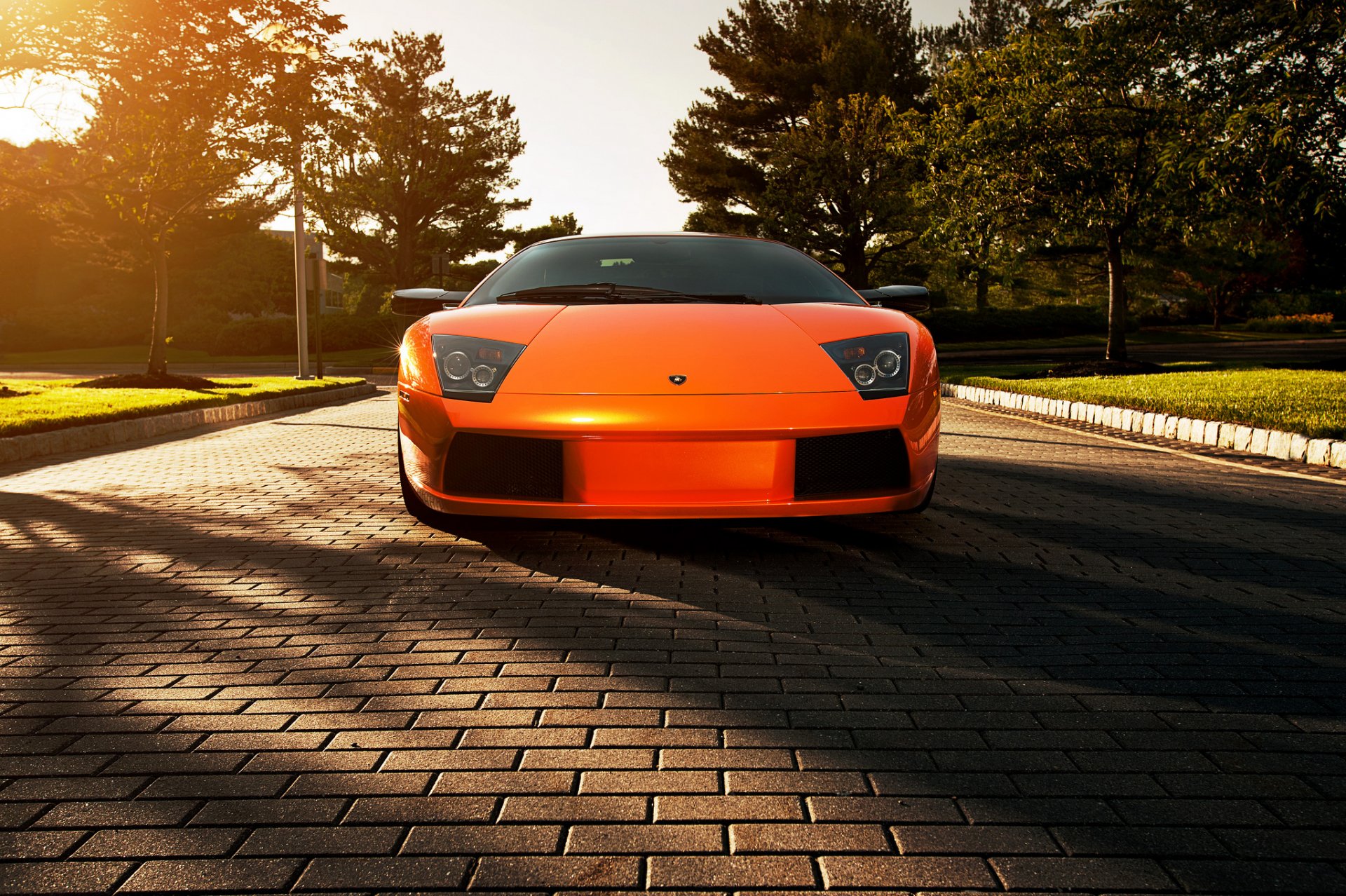 lamborghini murcielago orange lamborghini lamborghini murselago flowers paving stones shadow glare