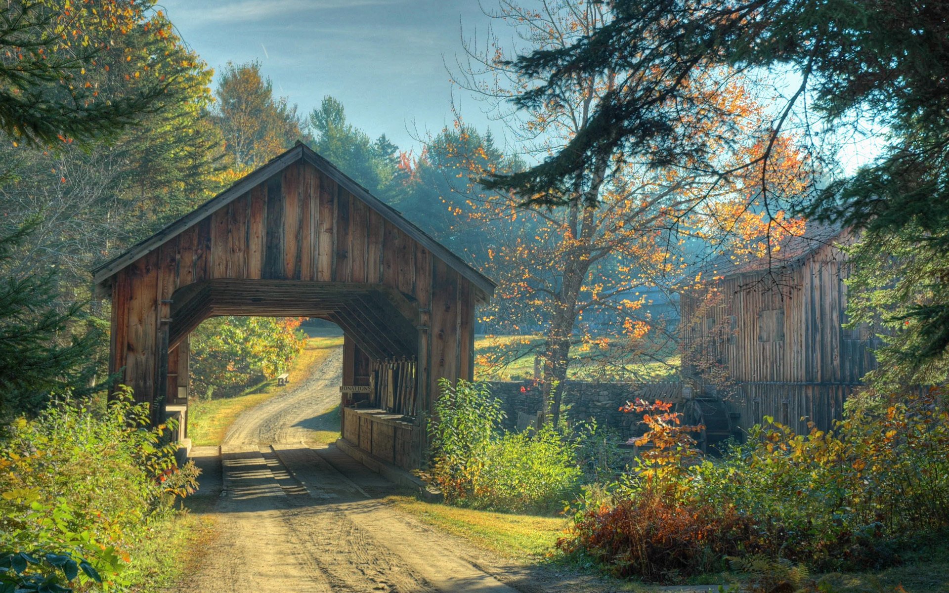 naturaleza puente bosque camino otoño árboles