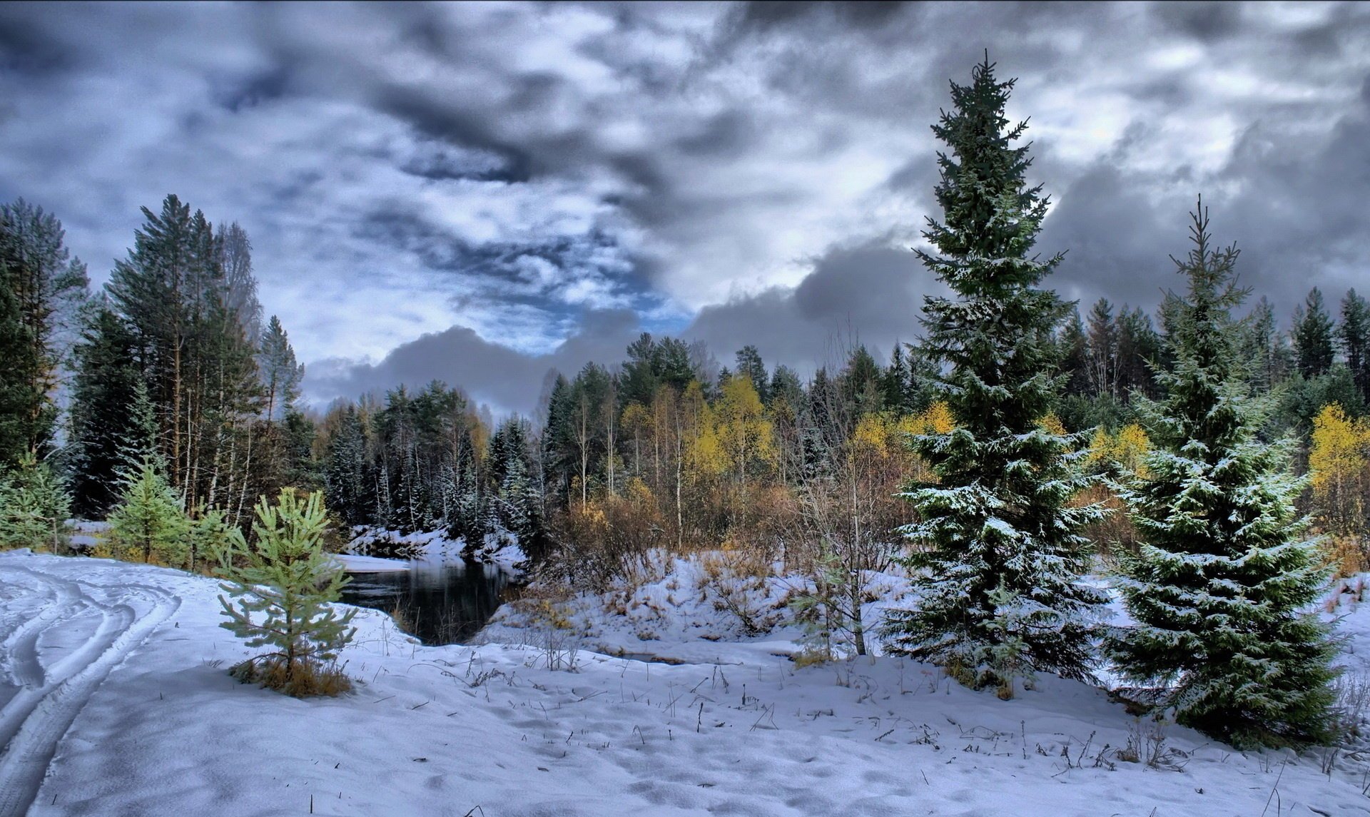 inverno foresta neve alberi fiume