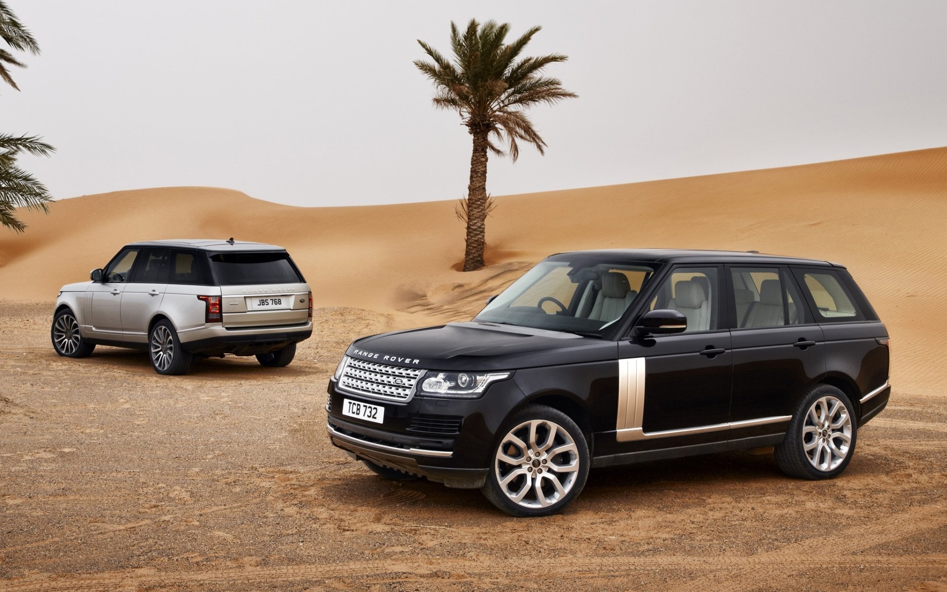 land rover range rover land rover renge rover jeep suv anteriore vista posteriore argento sabbia deserto palme cielo