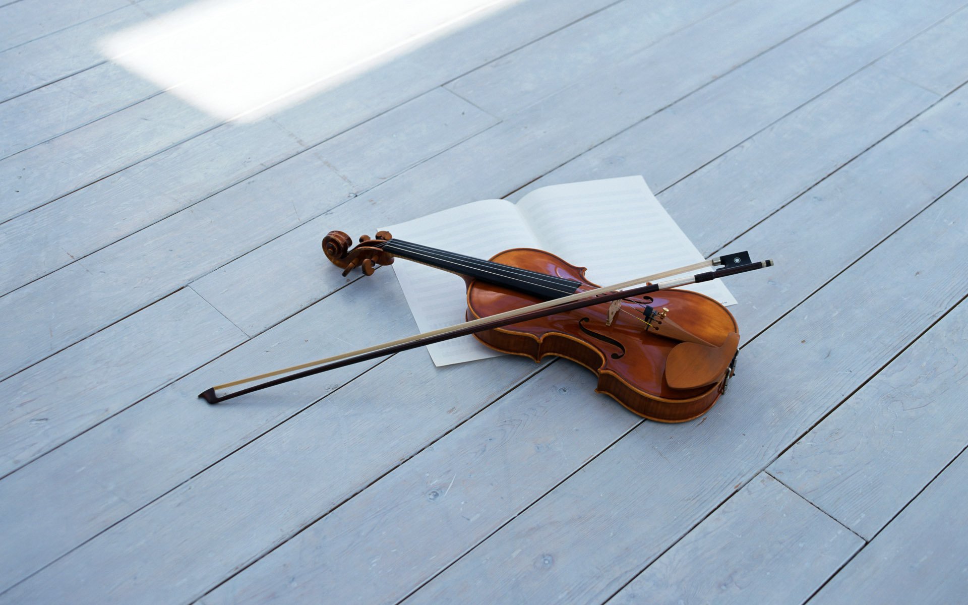 violon arc violin bow