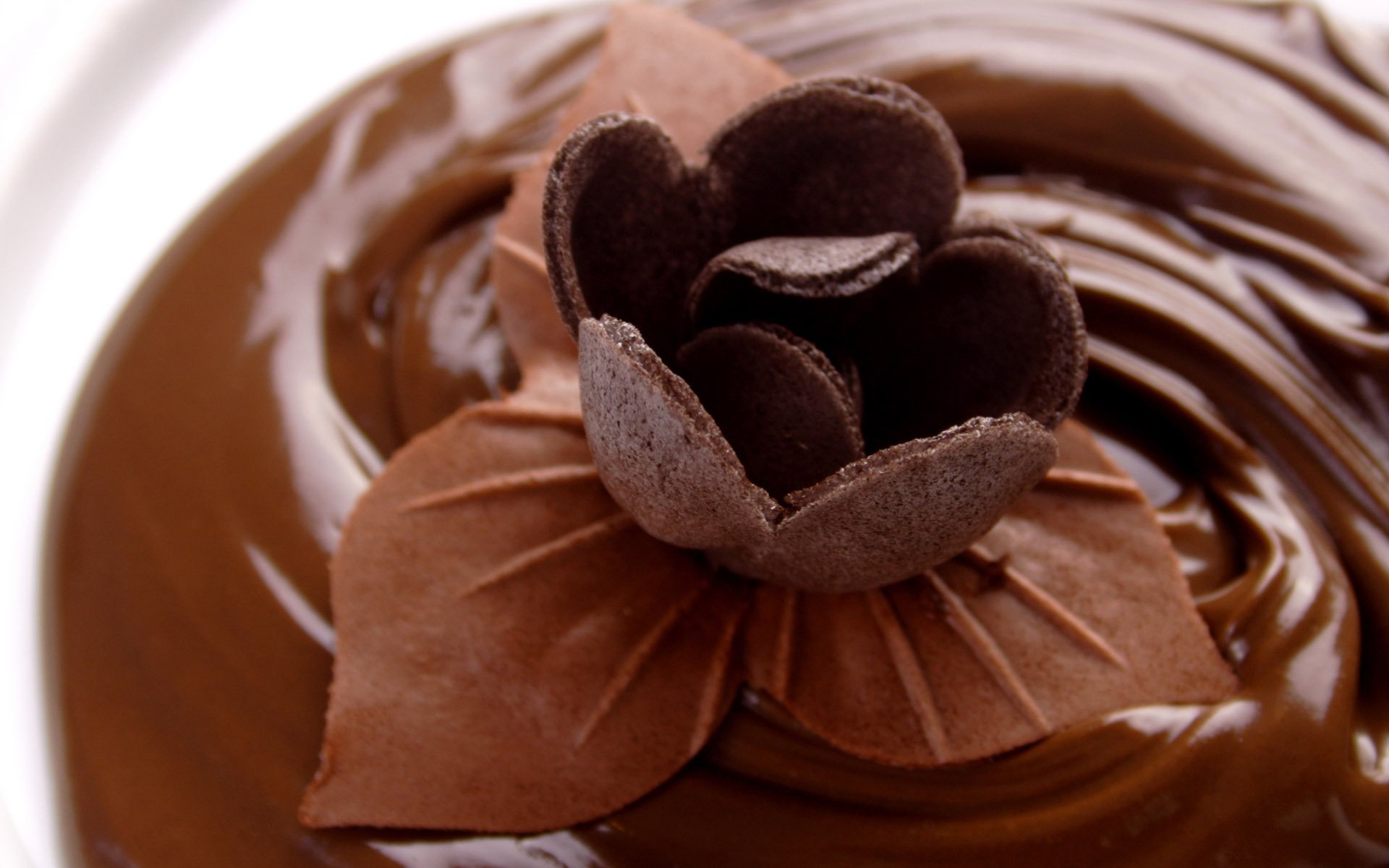 chocolate flower sweet food