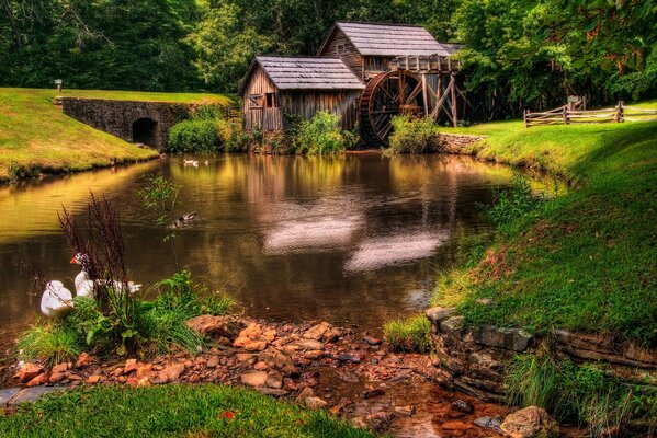 The old mill in the fabulous wilds