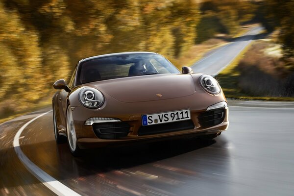 Porsche impressionante sulla strada su uno sfondo di alberi