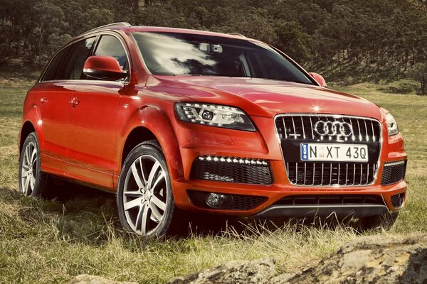 In our field through the forest audi q7 climbed