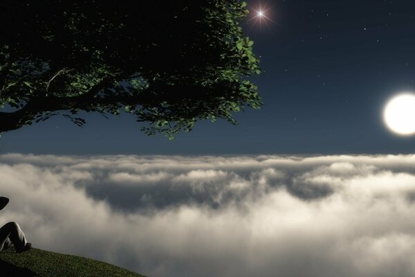 Arbre au bord d une falaise dans le ciel nocturne