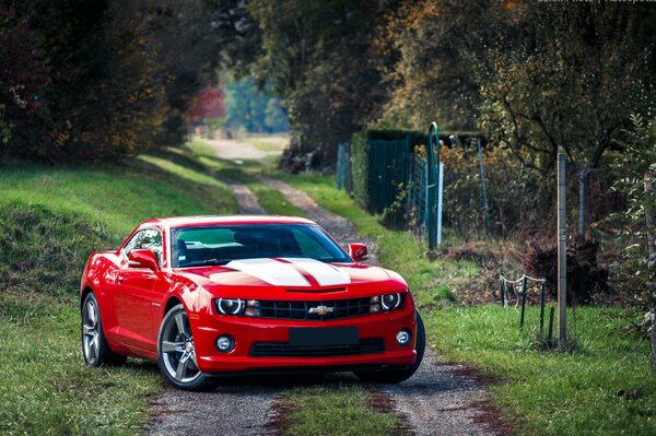 Chevrolet Camaro en un camino rural en el campo