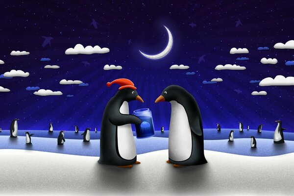 A gift for a penguin in the new year