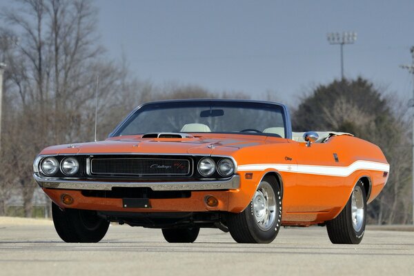 Challenger Retro cabrio na drodze