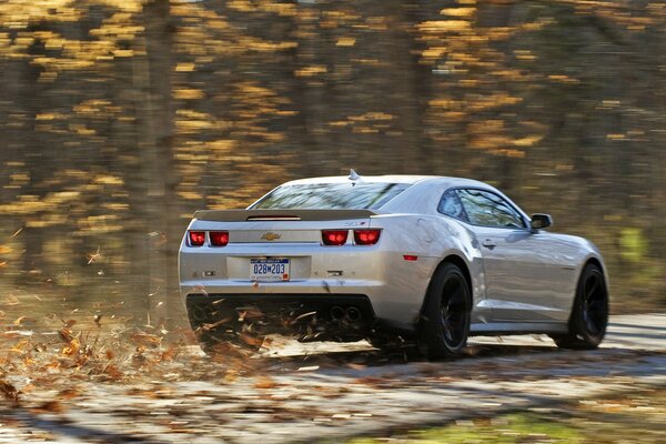 The car lifted autumn leaves into the air