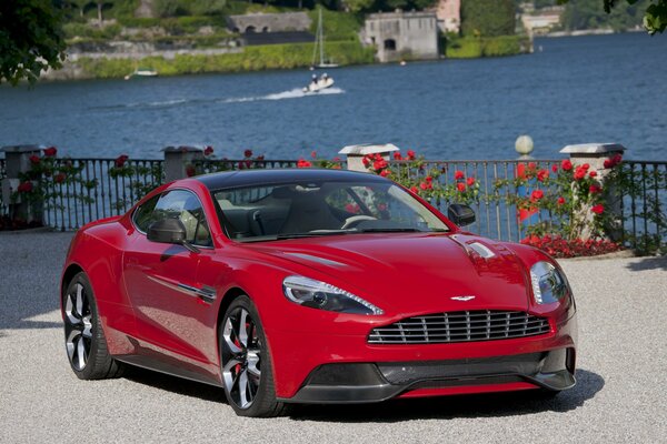 A red aston Martin car. Red flowers