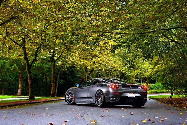 Silver Ferrari on the autumn road