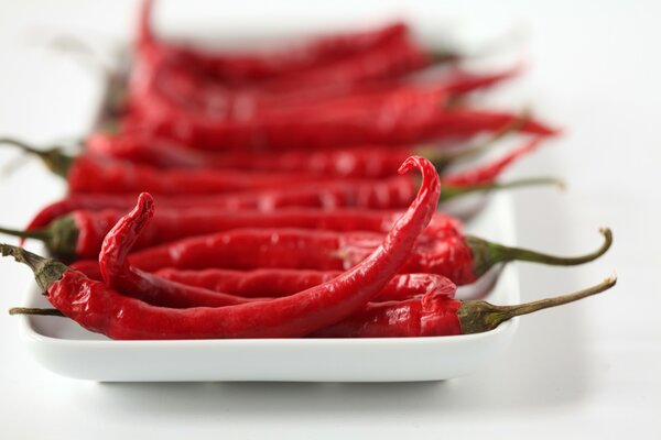 Chili pepper on a white plate