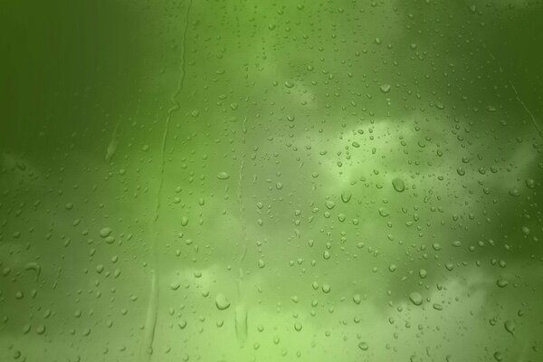 Verschwommener grüner Hintergrund mit Regentropfen