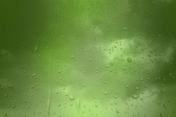 Fondo verde borroso con gotas de lluvia