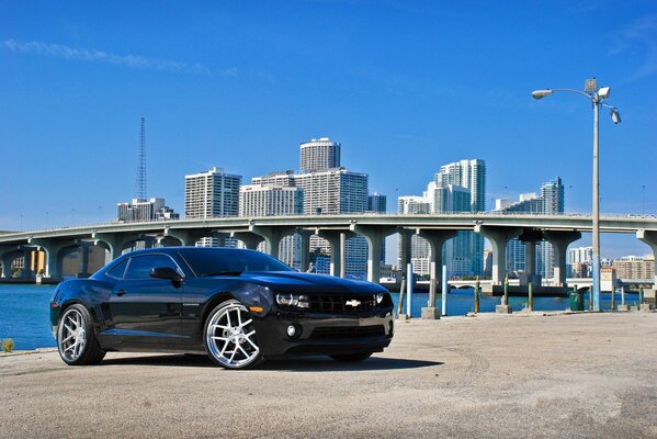 Black Chevrolet Camaro on the embankment against the backdrop of skyscrapers