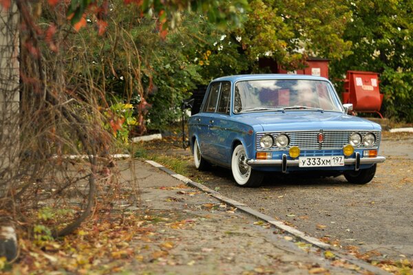 Los seis azules en el camino de otoño