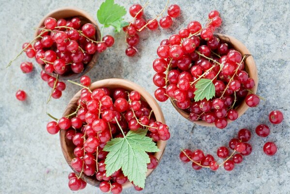 Baies de cassis dans des tasses