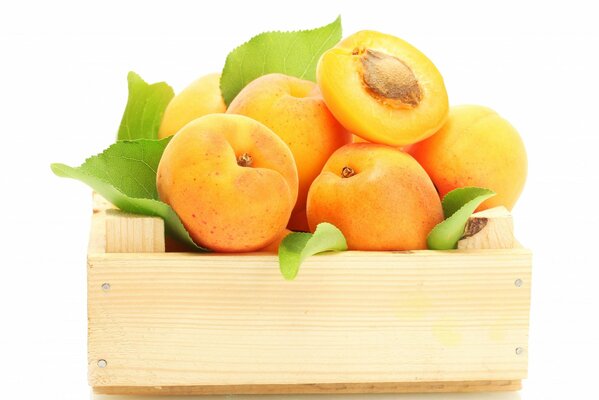 Velvet apricots in a wooden box