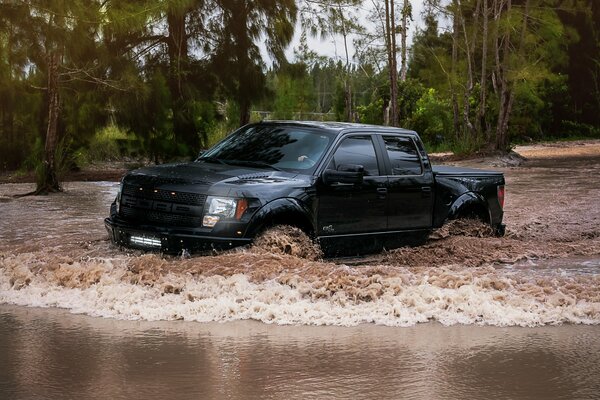 Pour Ford noir, cette forêt, ce marais