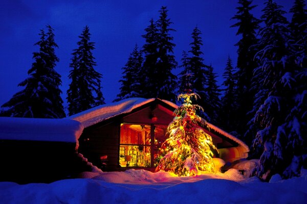 Casa con árbol de Navidad en el fondo del paisaje del bosque