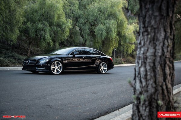 Black Mercedes Benz on a background of green trees