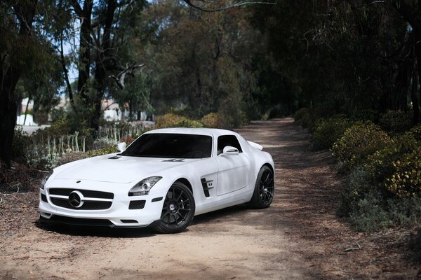 Voiture de sport en blanc