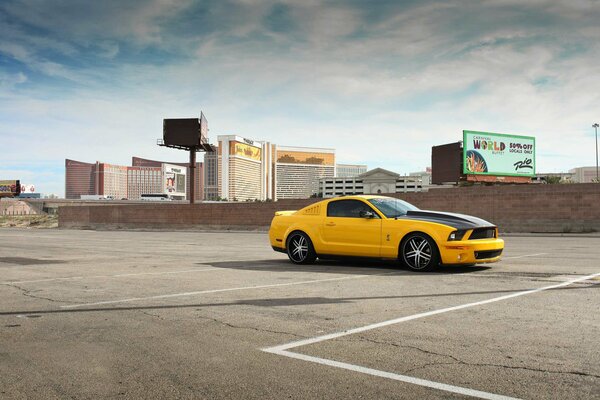 Yellow and black Ford Mustang gt500 photos in the city