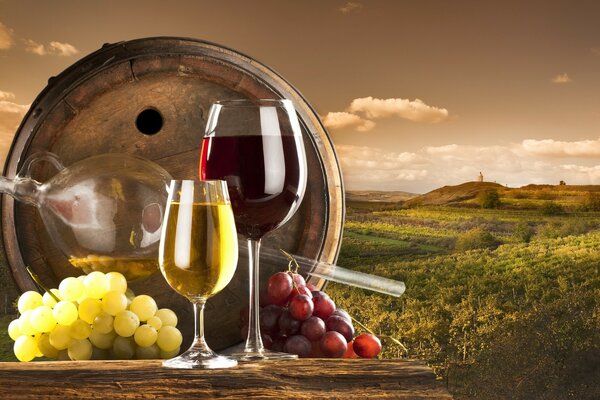 Against the background of a vineyard, a barrel and wine in glasses, next to a bunch of grapes