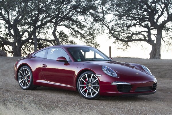 Burgundy Porsche Carrera , front view against the background of trees