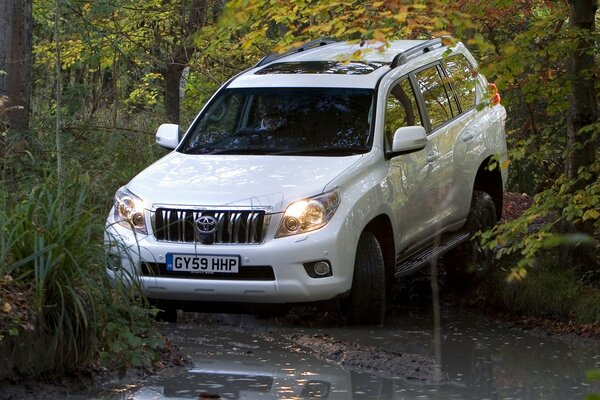 White tayota rides through mud and water in the forest