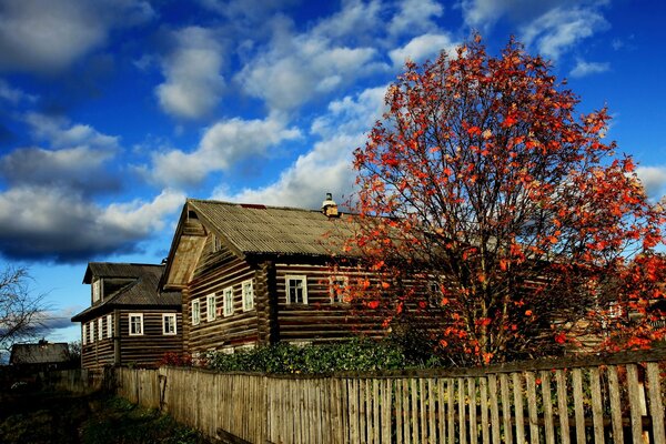 Village houses with a fence in autumn