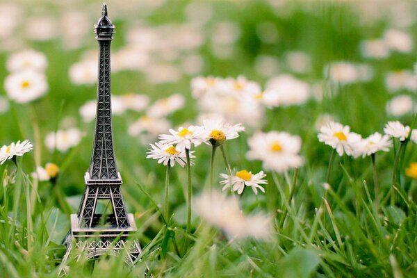 Statuette de la tour Eiffel sur le champ de camomille