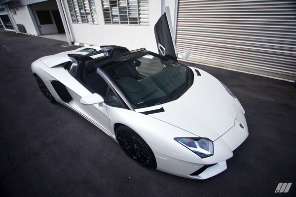 Lamborghini Aventador lp700-4 Bianco in Malesia