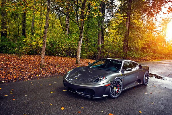 A grey Ferrari car on a golden autumn background