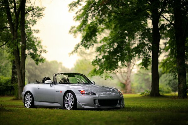 Auto honda s2000 nella foresta sull erba colore bokeh