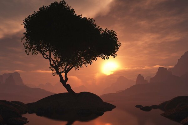 A tree growing on the island, in the rays of sunset