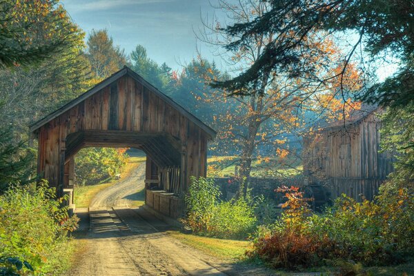 In autumn, the forest, where the trees along the road are gorgeous!