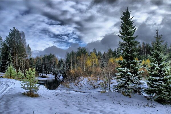 Winter trees, river and evening forest