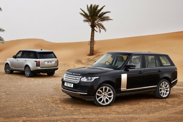 Terenowy range rover na tle pustyni