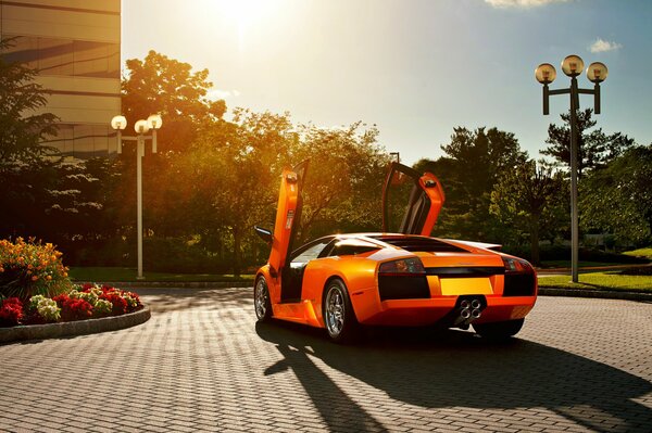 Lamborghini murcielago with open doors on the background of lampposts on the paving stones near the flower bed