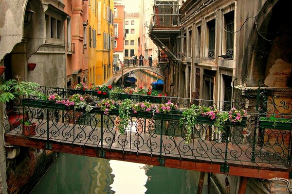 Puente con flores sobre el agua en Venecia