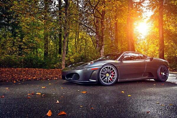 Imagen del coche en el fondo del bosque de otoño