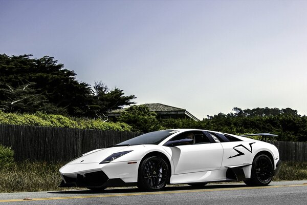 Lamborghini blanco en la carretera contra los árboles y el cielo